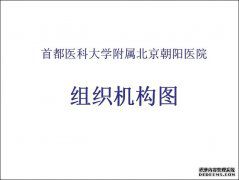 北京朝陽醫院組織機構圖